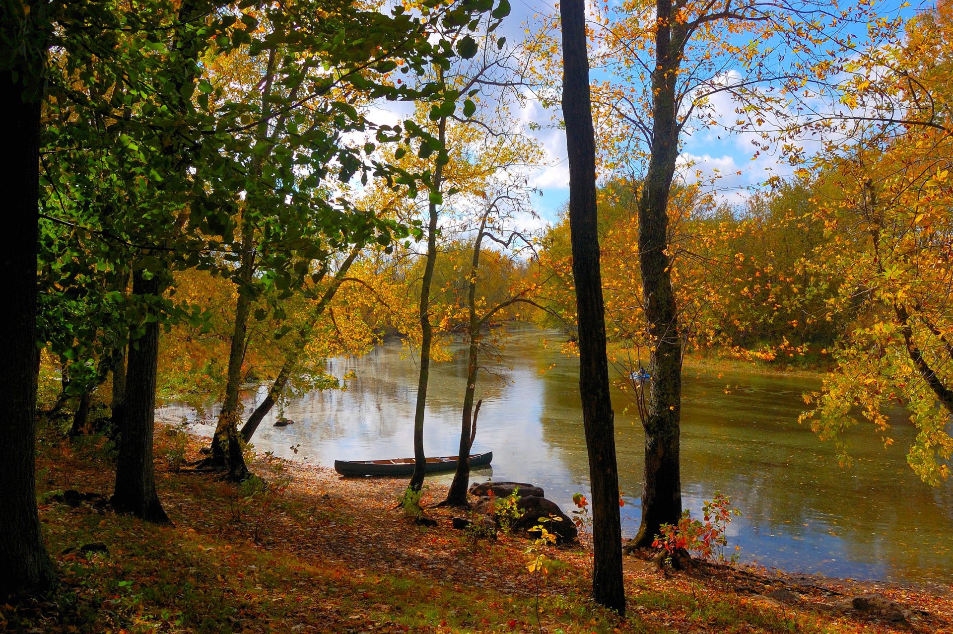 cielo bosque río barco árboles hojas otoño paisaje