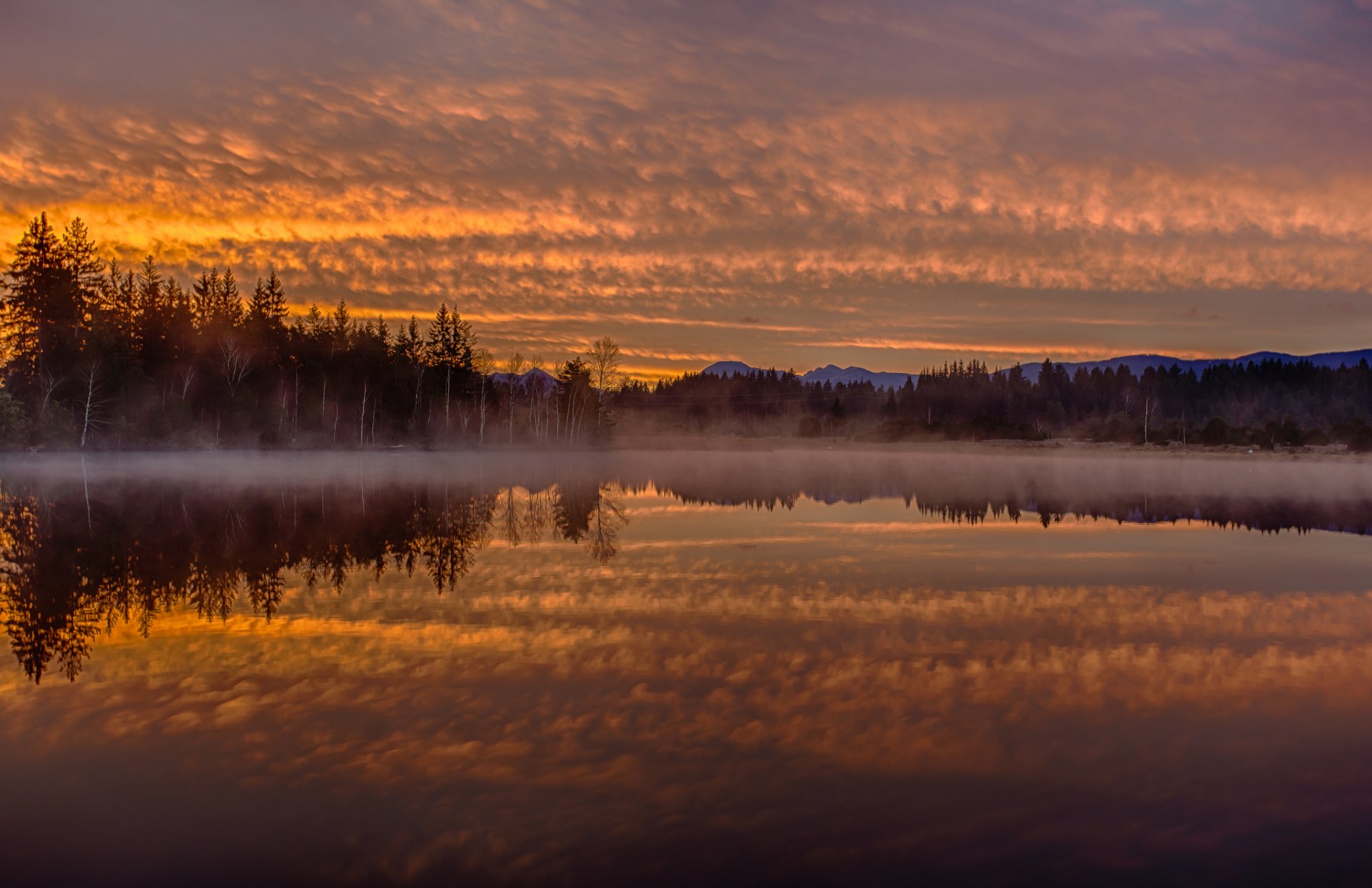 ciel nuages lueur montagnes forêt arbres lac brouillard