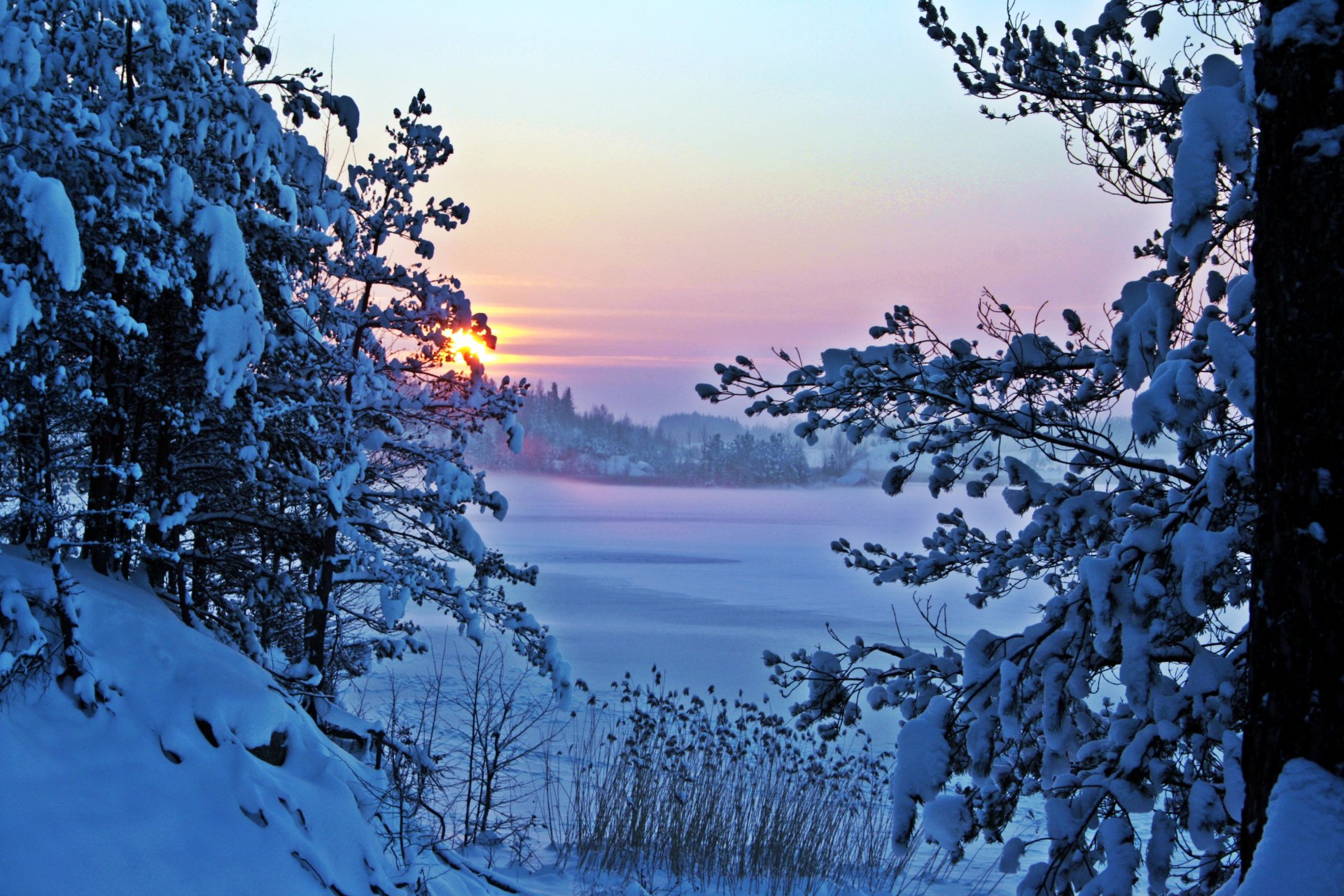 morgen schnee winter natur