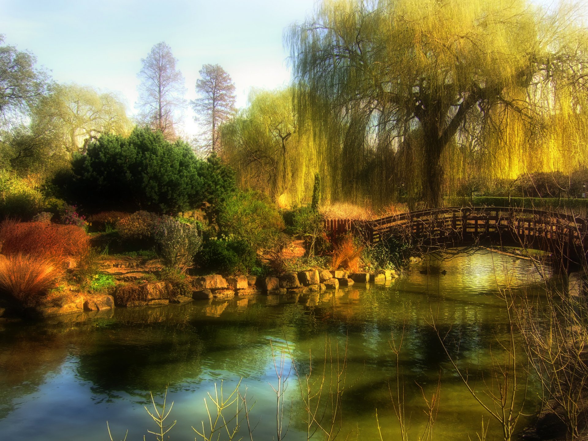 parco giardino cielo alberi ponte stagno cespugli autunno pietre foschia paesaggio