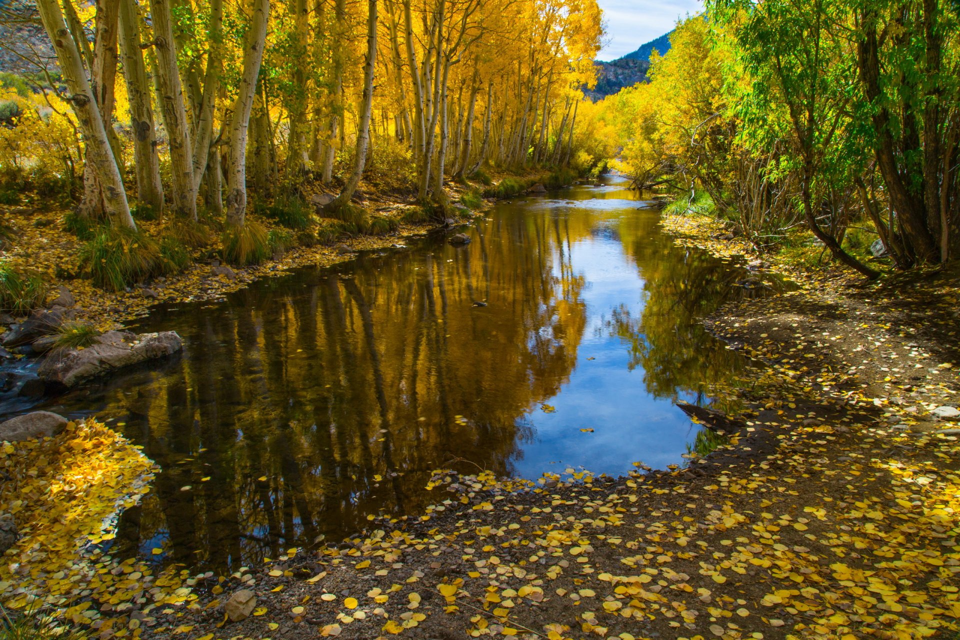 fluss herbst natur landschaft