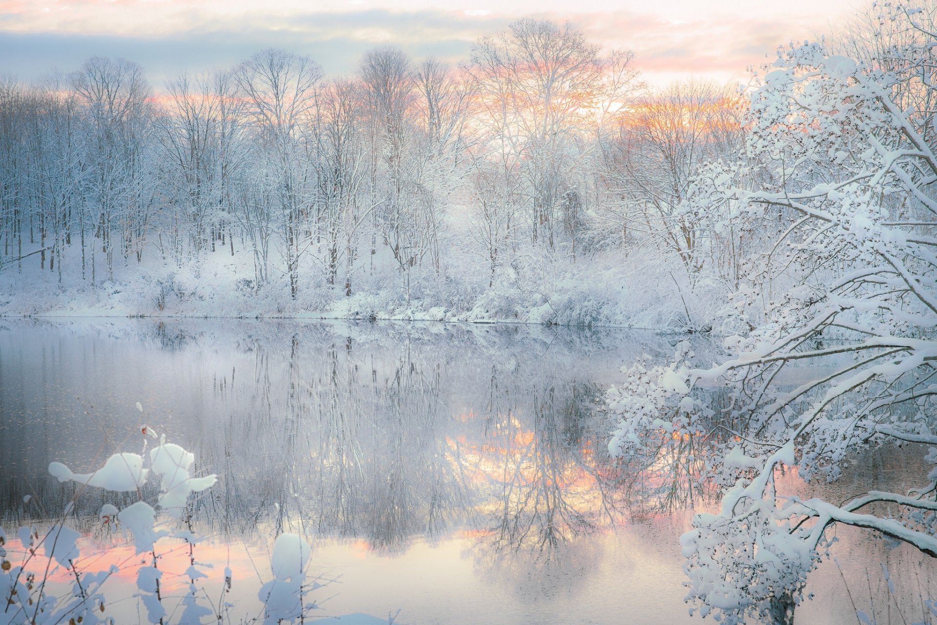 invierno nieve noche bosque lago reflexión