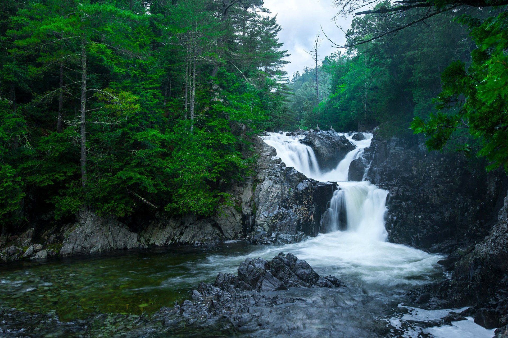 cielo nuvole foresta fiume rocce cascata rapide rocce alberi