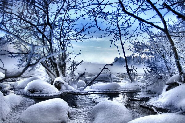 Snow-covered rocks and trees against the sky