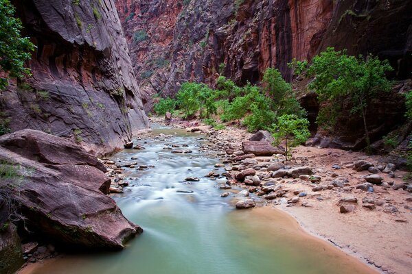 Rivière dans les rochers dans le parc Zion