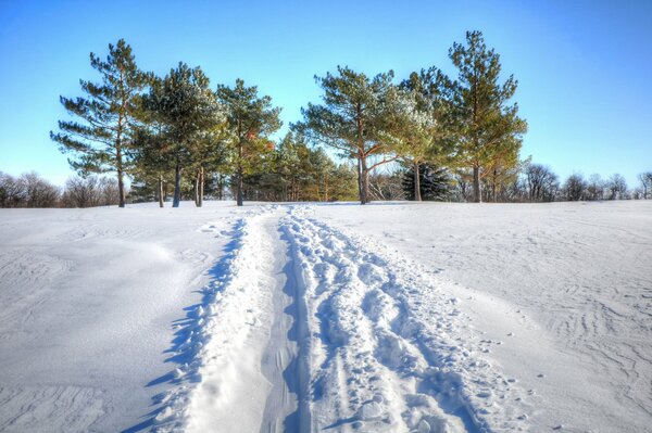 Camino trillado en la nieve en un día de invierno