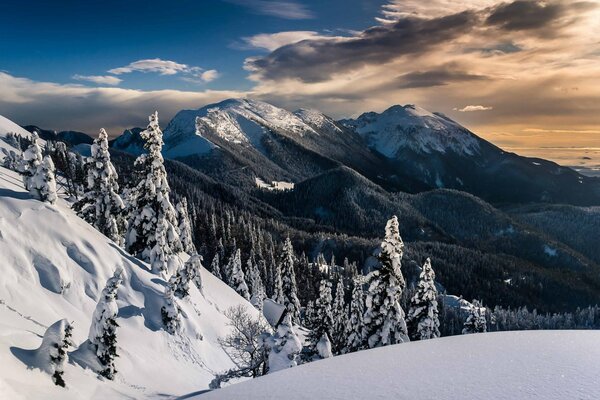 Winterblick auf die Berge, die von Wald umgeben sind