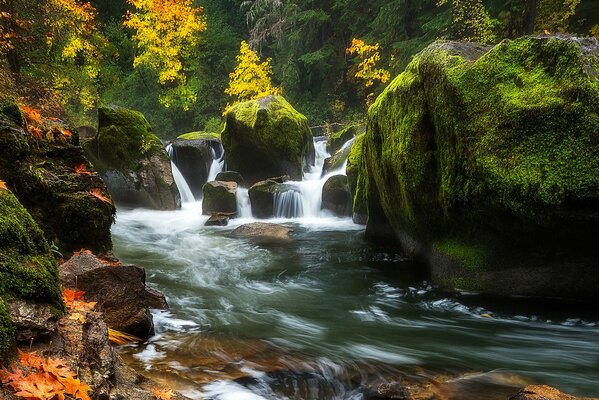 The flow of the river among the rocks