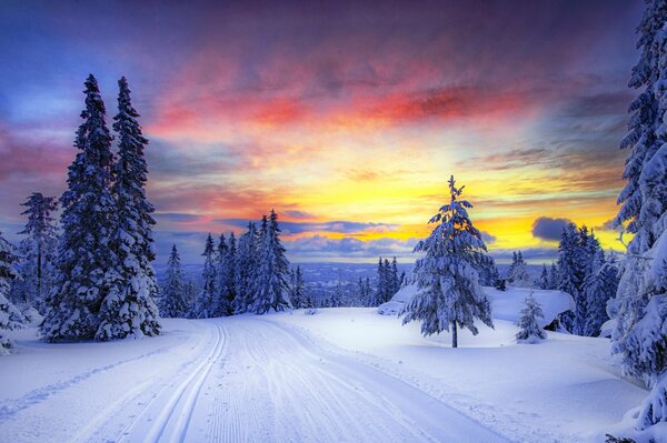 Winterwald bei Sonnenuntergang Hintergrund