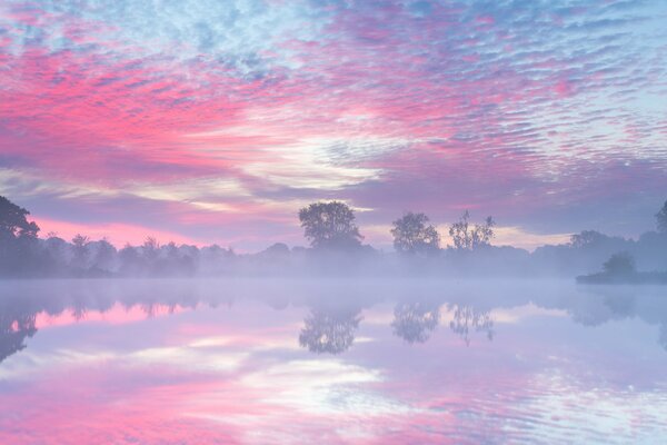 Gentle September morning in the Netherlands