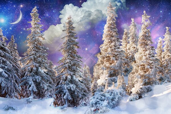 Зимний лес в снежных деревьях