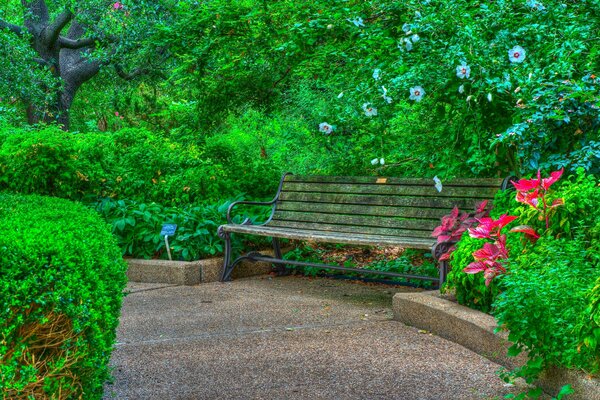 Скамейка в красивом парке между кустов