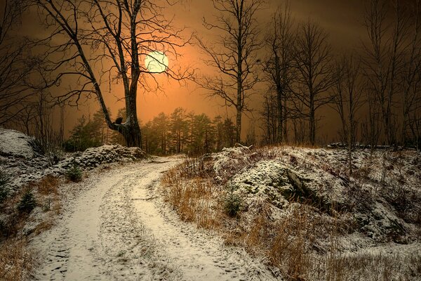 Camino cubierto de nieve al atardecer