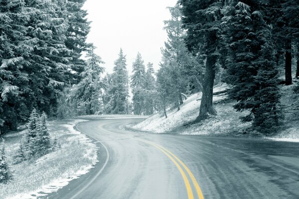 A road in the middle of a winter forest