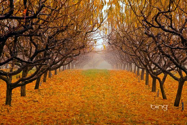 British Columbia, Canada, Okanagan Valley