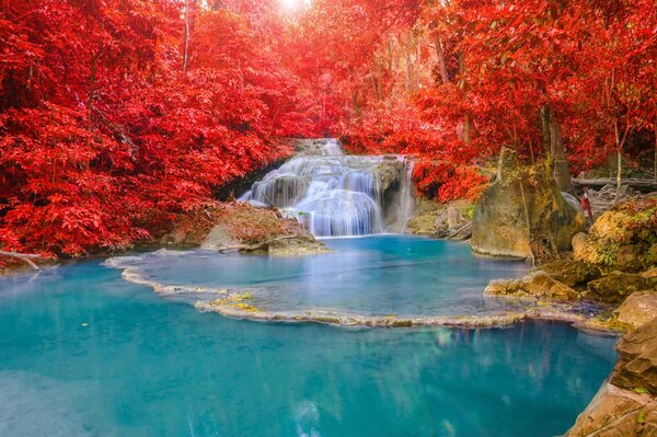 Paysage luxuriant lumineux avec cascade et feuillage d automne