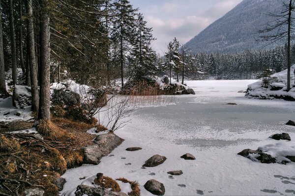 Natura invernale tra le montagne