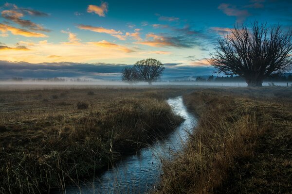 A brook in a field in the morning foggy