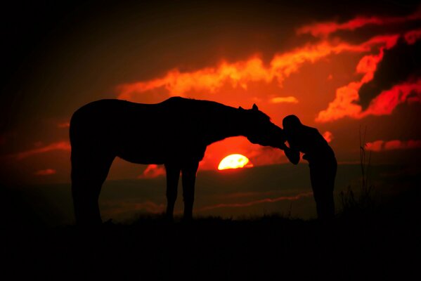 Black silhouette of a girl kissing a horse on the muzzle against the background of a crimson sunset