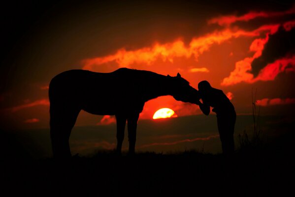 Черный силуэт девушки целующей в морду лошадь на фоне багрового заката