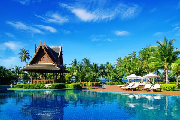 Unas vacaciones perfectas. Sol, palmeras y piscina