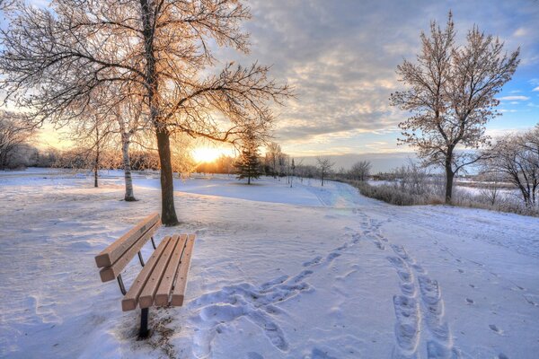 Banc solitaire sur une clairière mauve enneigée sur fond d arbres enneigés et de soleil couchant