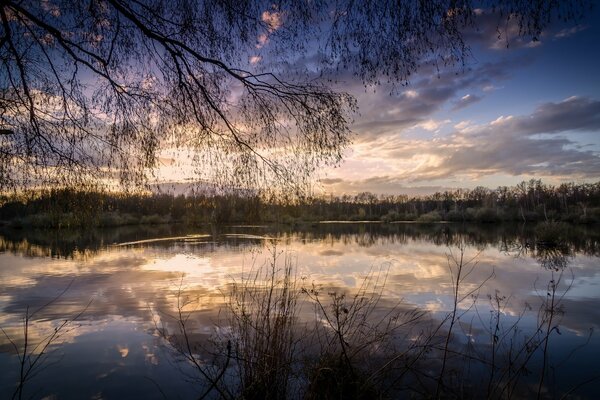 Lago al atardecer