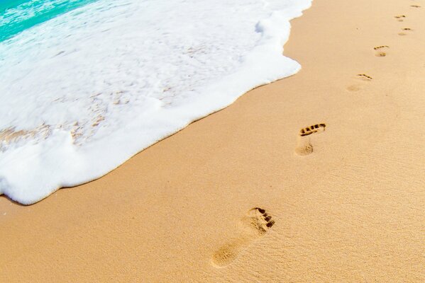 Traces sur le sable près de la mousse