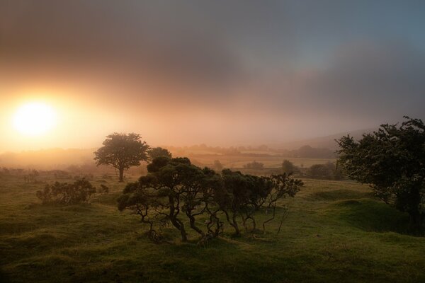 Morgennebel, Sonnenaufgang