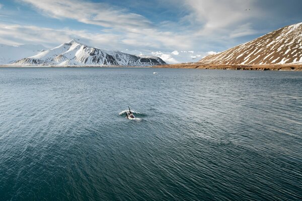 Paysage marin avec des montagnes enneigées