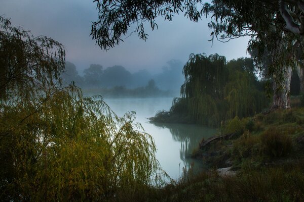 Nebliger Morgen an der Flussküste