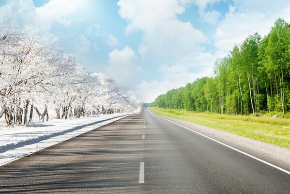 Carretera que separa el bosque de invierno y verano