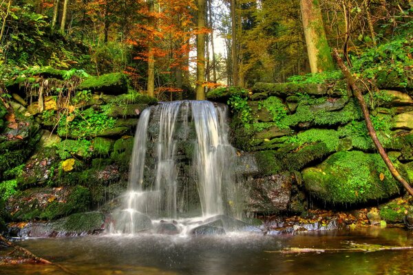 Una pequeña cascada en el bosque de otoño