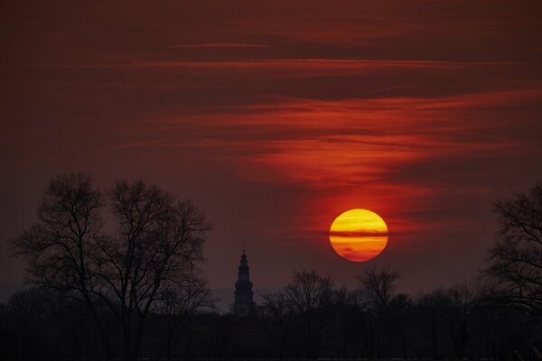 Ein blutiger Himmel und ein riesiger gelber Mond, schwarze Silhouetten von Türmen und Bäumen