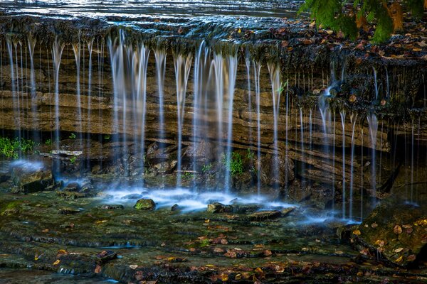 Small waterfall stones leaves