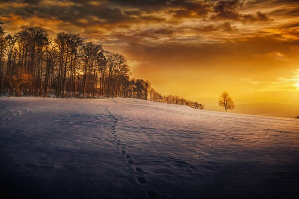 Puesta de sol de invierno en la ladera de la nieve