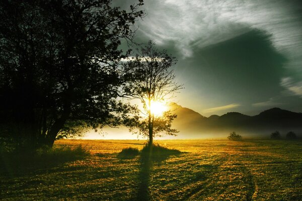 Schöner Sonnenaufgang auf dem Feld