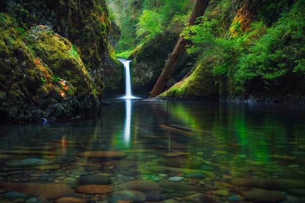 Una pequeña cascada forestal en los Estados Unidos