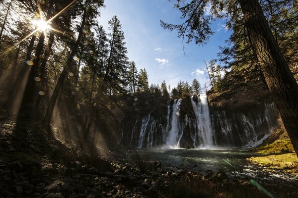 High waterfall in the summer forest