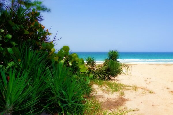 Journey. beach on the ocean