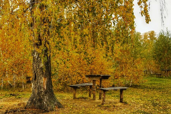 Bancos para disfrutar del paisaje otoñal