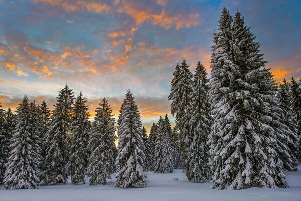 Ate snow morning clouds