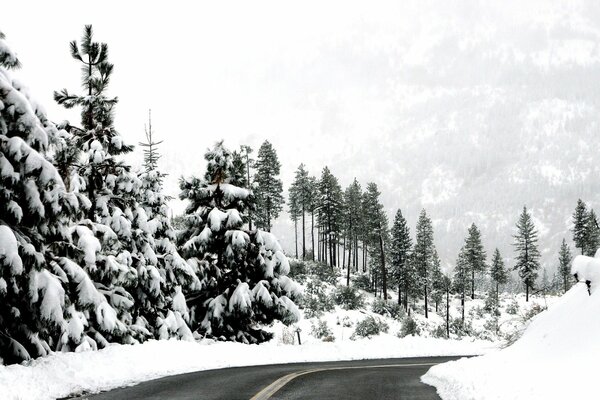 Strada invernale nella foresta di montagna