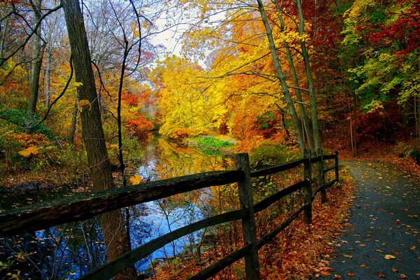 Herbstlandschaft mit Fluss