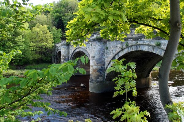 Pont de briques. Rivière. Été