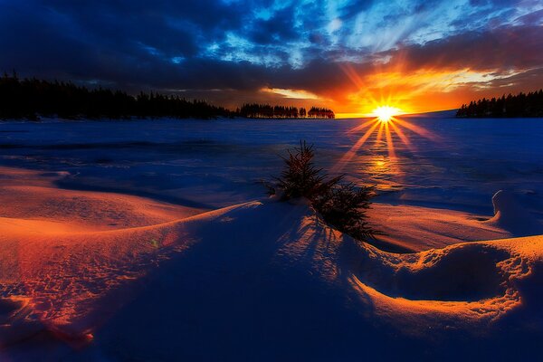 Winter dawn on the background of the sun