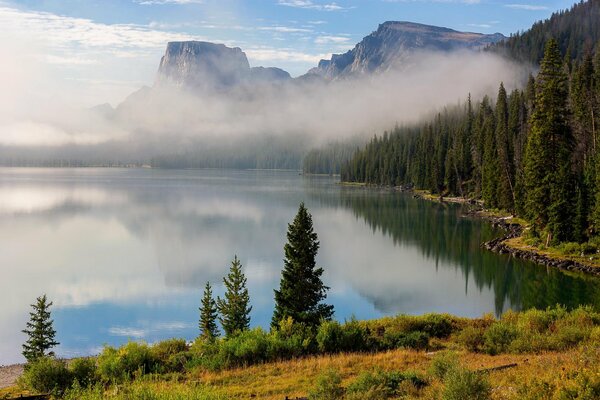 Mighty mountains and spruce forest around a transparent misty lake