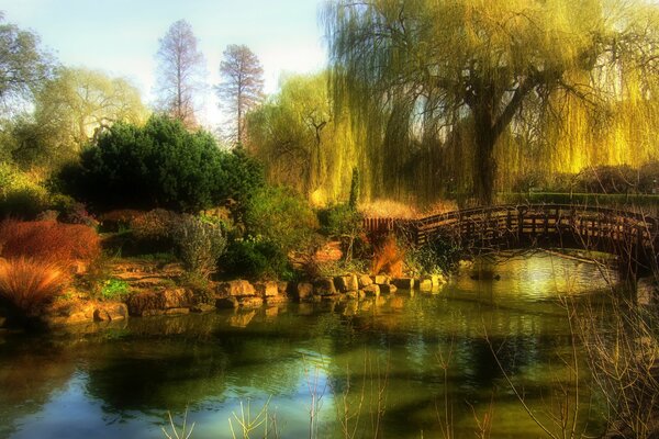 Park with river bridge and willow