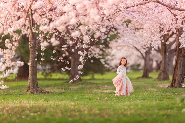 Photo of a child in a Cherry orchard