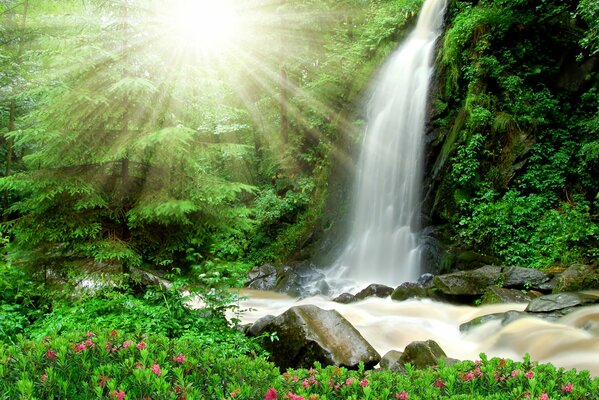 Wasserfall unter den Strahlen der hellen Sonne